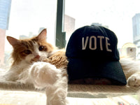 Vote Hat