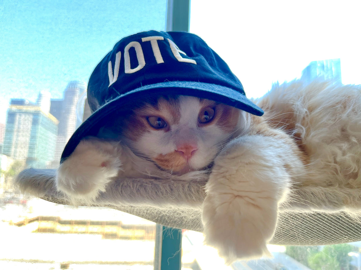 Vote Hat