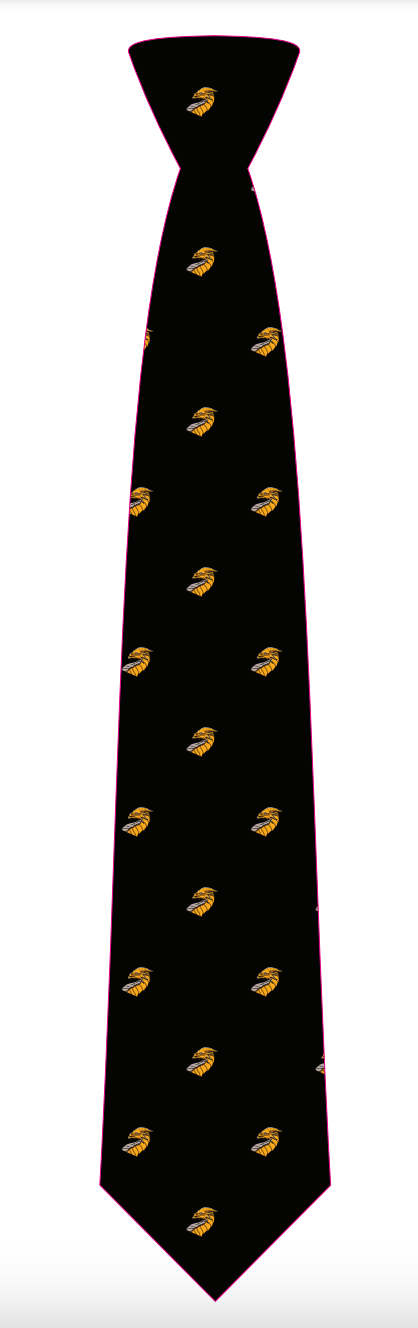 Dragon Squad Tie