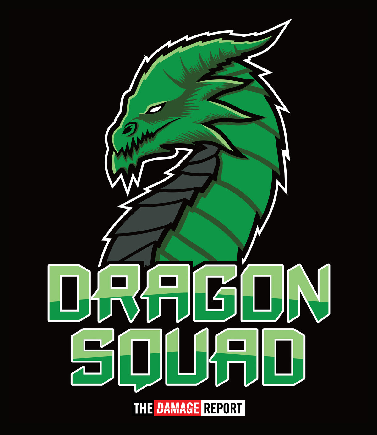 Dragon Squad 2.0 Hoodie